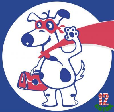 Предлагаю Ветеринария у Вас на дому