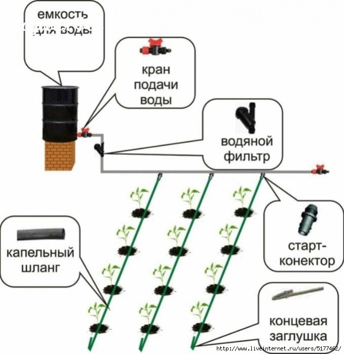 система капельного полива своими руками